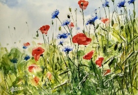 krajina, vlčí máky,chrpy,akvarel, waterpainting